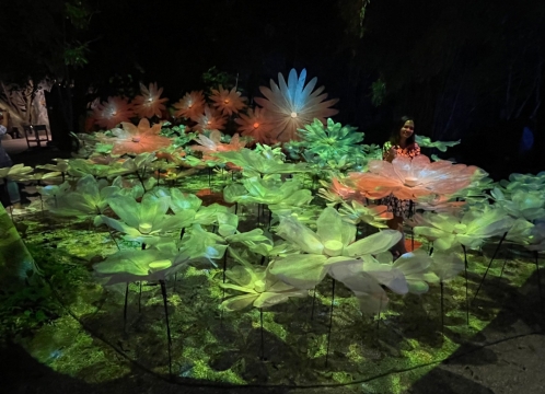 イルミネーション